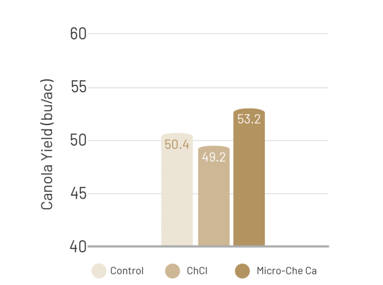 Chart showing an increase in Canola yield with applying Micro-Che Ca