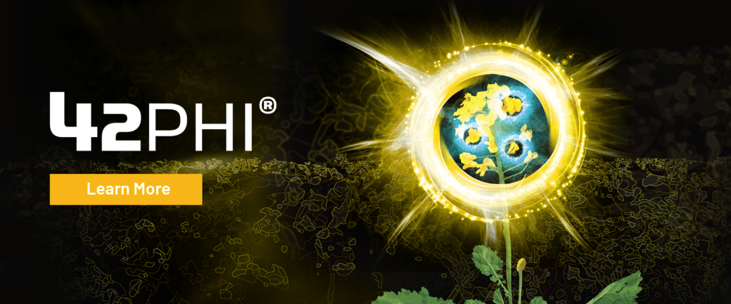 Learn more about 42phi