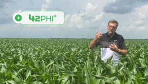 Set your yield with 42phi